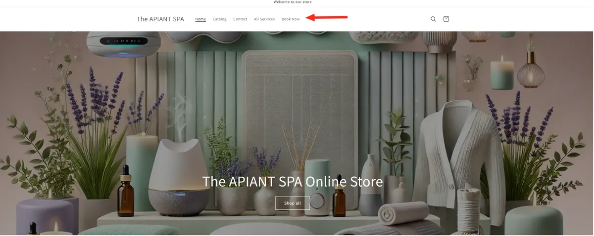 The APIANT SPA demo store home page, with the top menu: Home, Catalog, Contact, All Services, Book Now