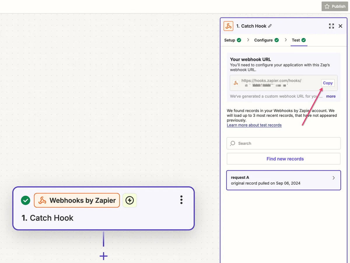 Webhooks by Zapier Catch Hook trigger showing the generated webhook URL
